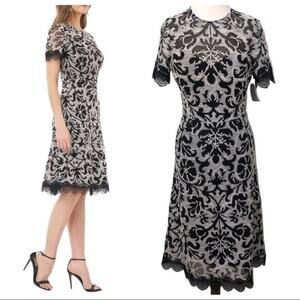 JS Collections Embroidered Lace Scalloped Trim Cocktail Dress Size 2 NWOT